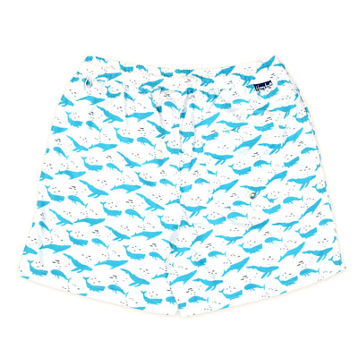 men's swimwear
