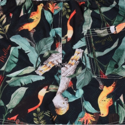 Take Me to Macaw Multicolor