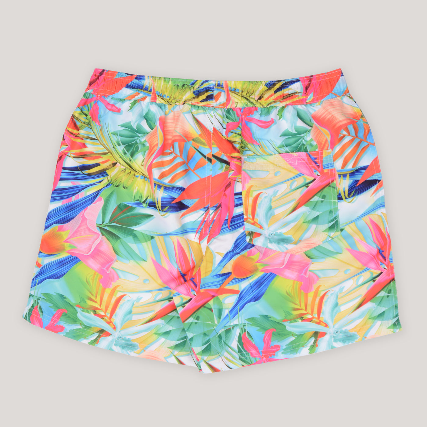 Paint me a Rainbow Swim Shorts