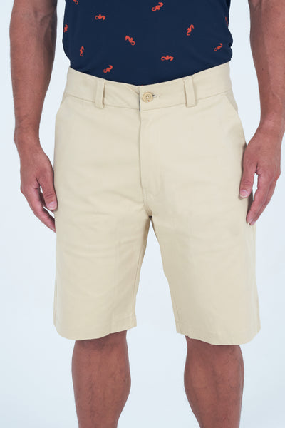 Desert Rain Shorts