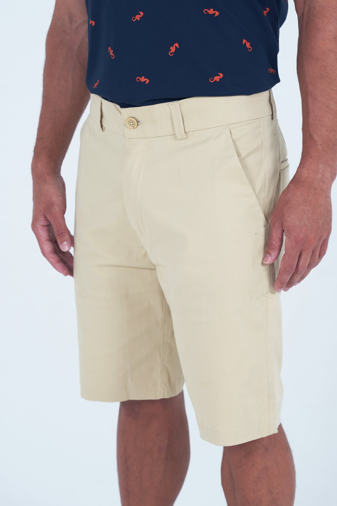 Desert Rain Shorts