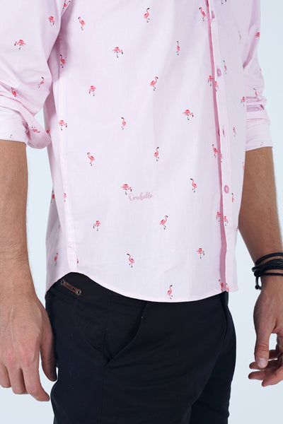 La camisa del rebaño de flamencos